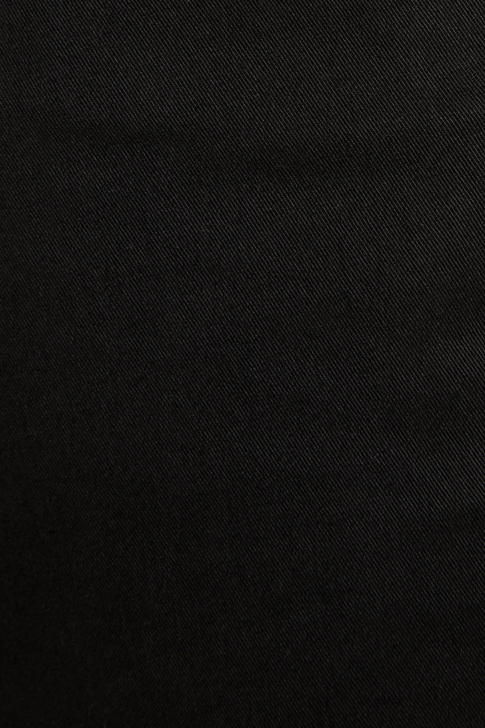 Regular Chino Pant