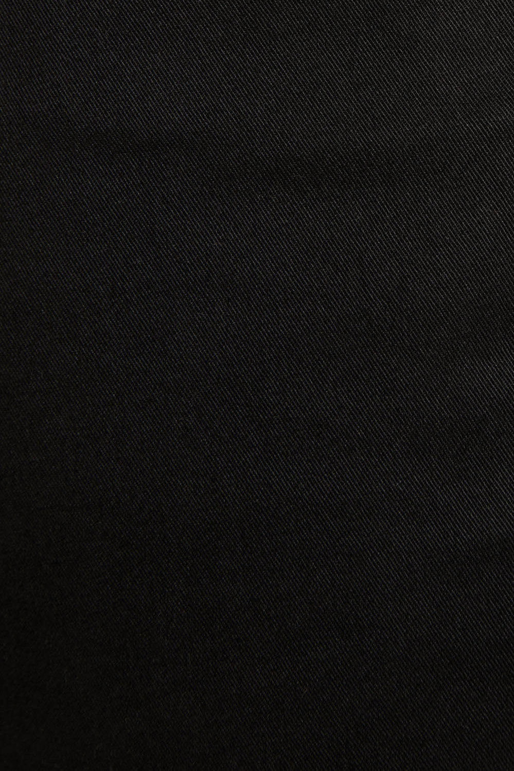 Regular Chino Pant