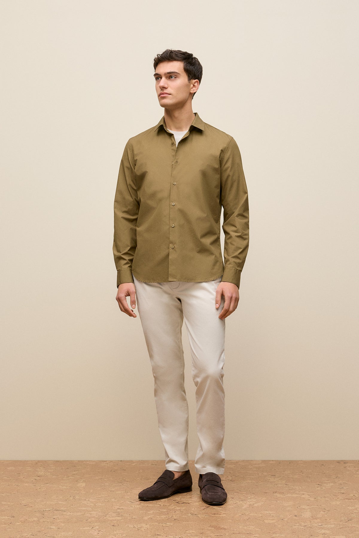 Regular Fit Chino Pant