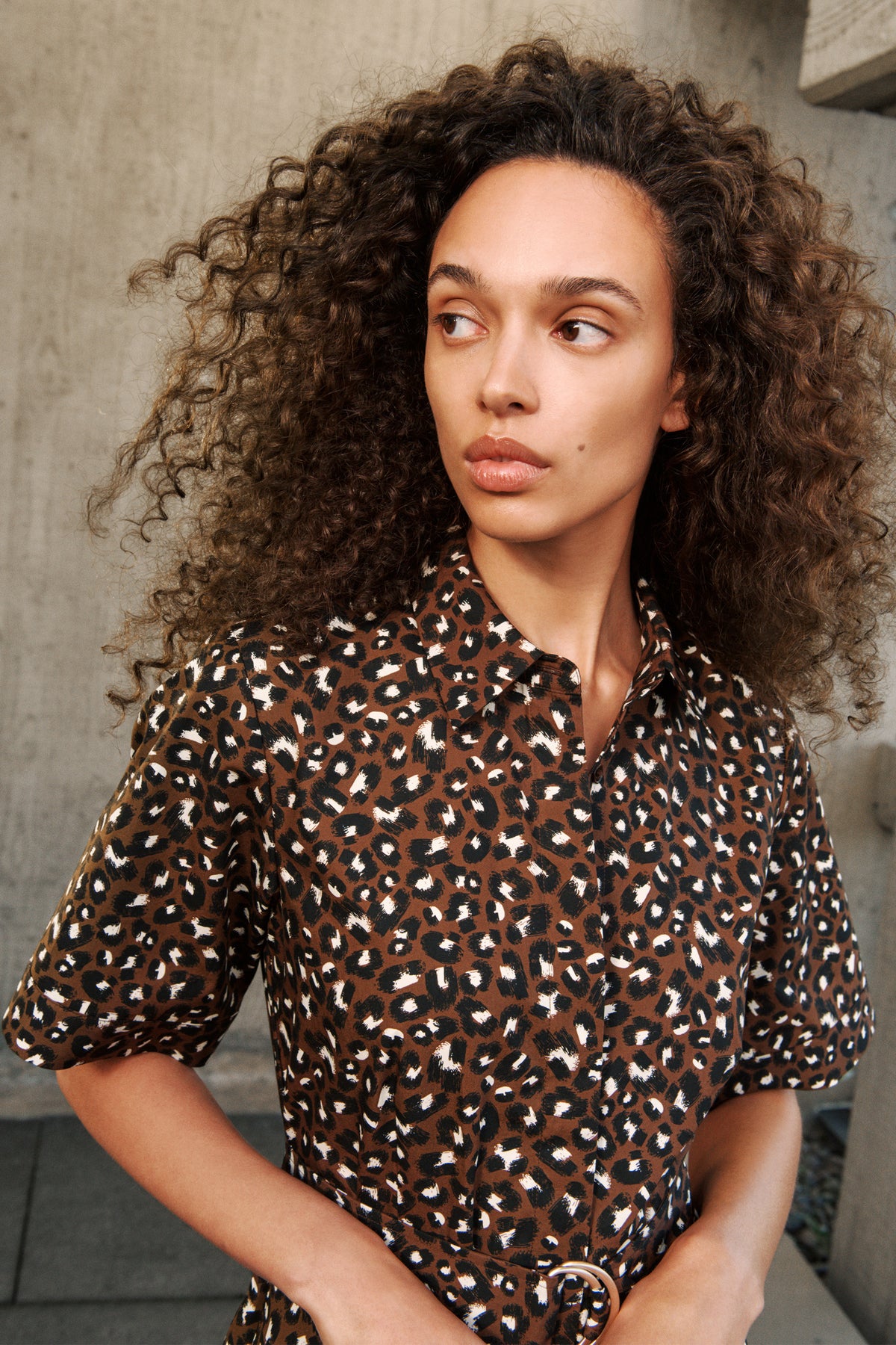 Leopard Poplin Belted Dress