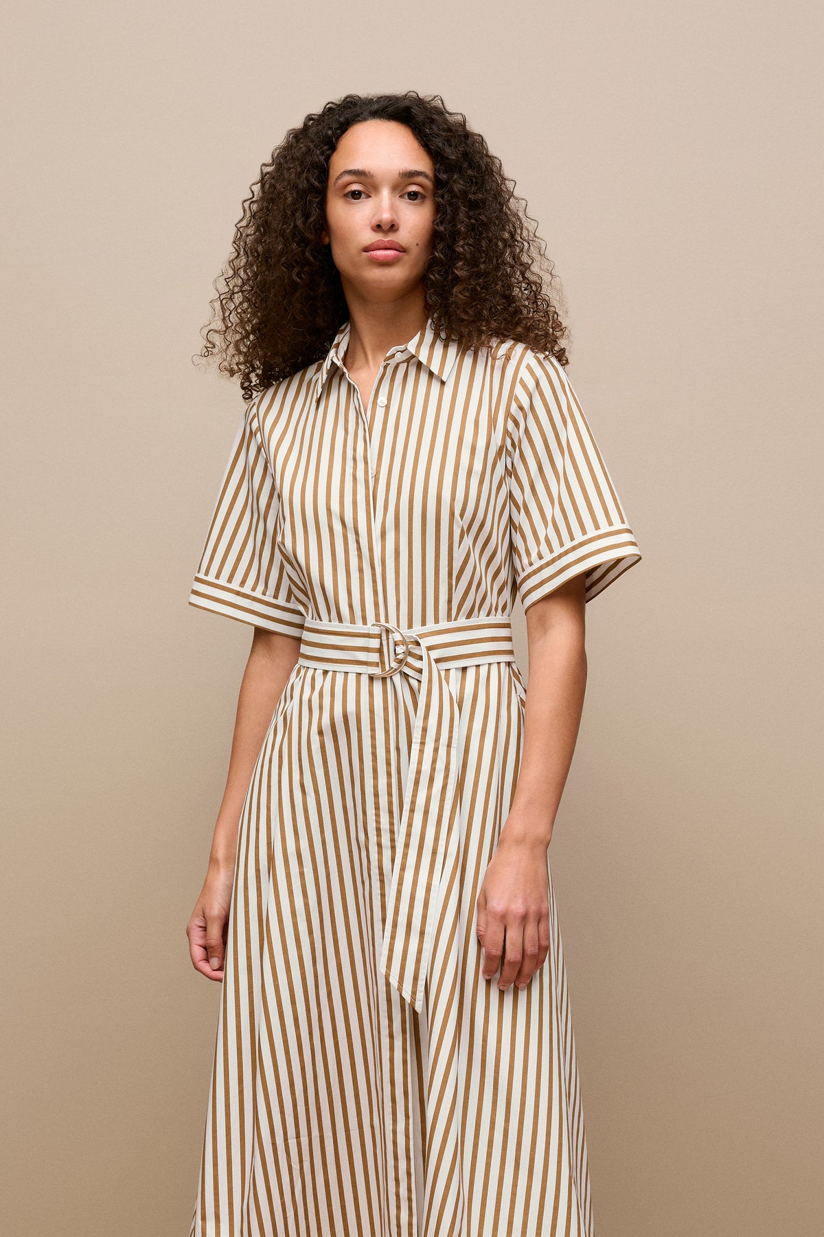 Poplin Stripe Belted Dress