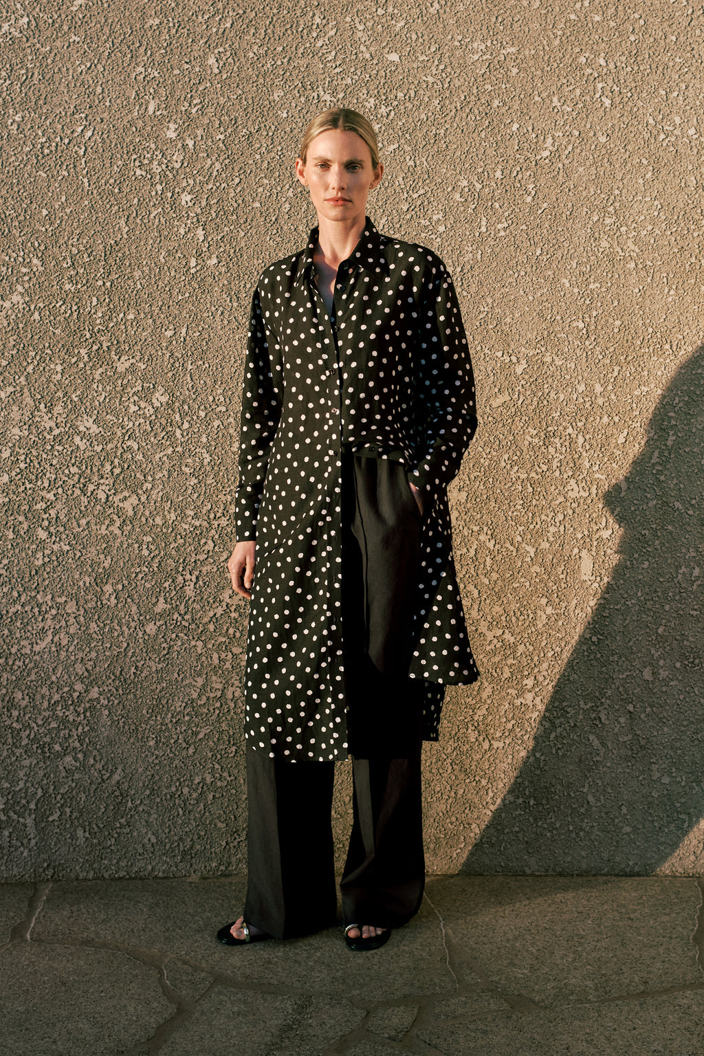 Spot Relaxed Shirt Dress