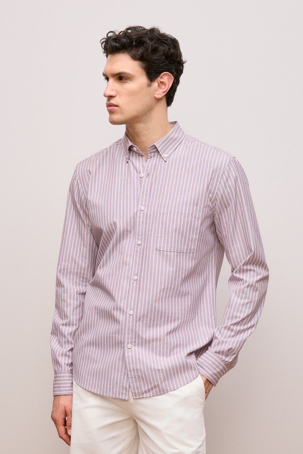 Regular Fit Poplin Stripe Long Sleeve Shirt