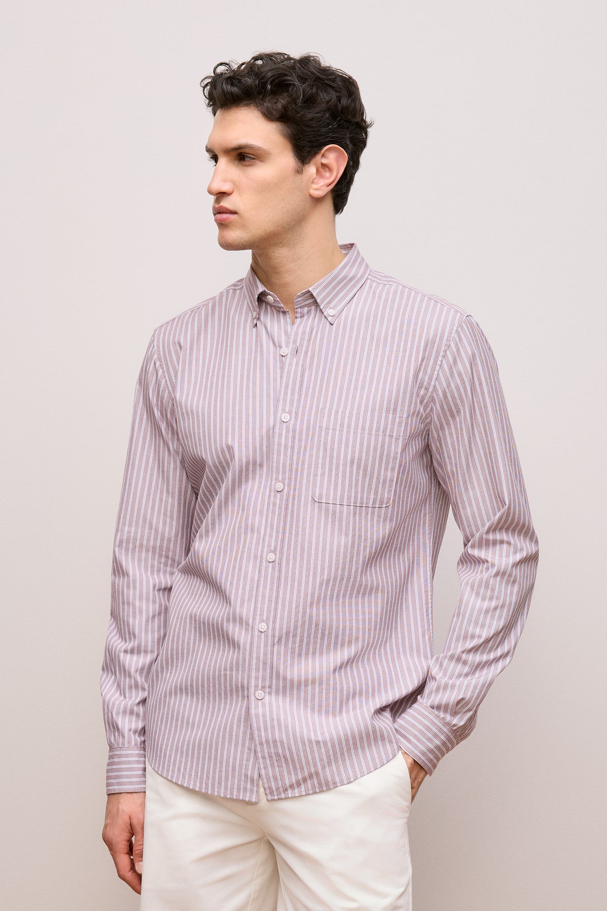 Regular Fit Poplin Stripe Long Sleeve Shirt