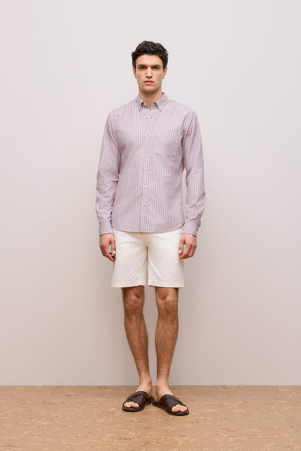 Regular Fit Poplin Stripe Long Sleeve Shirt