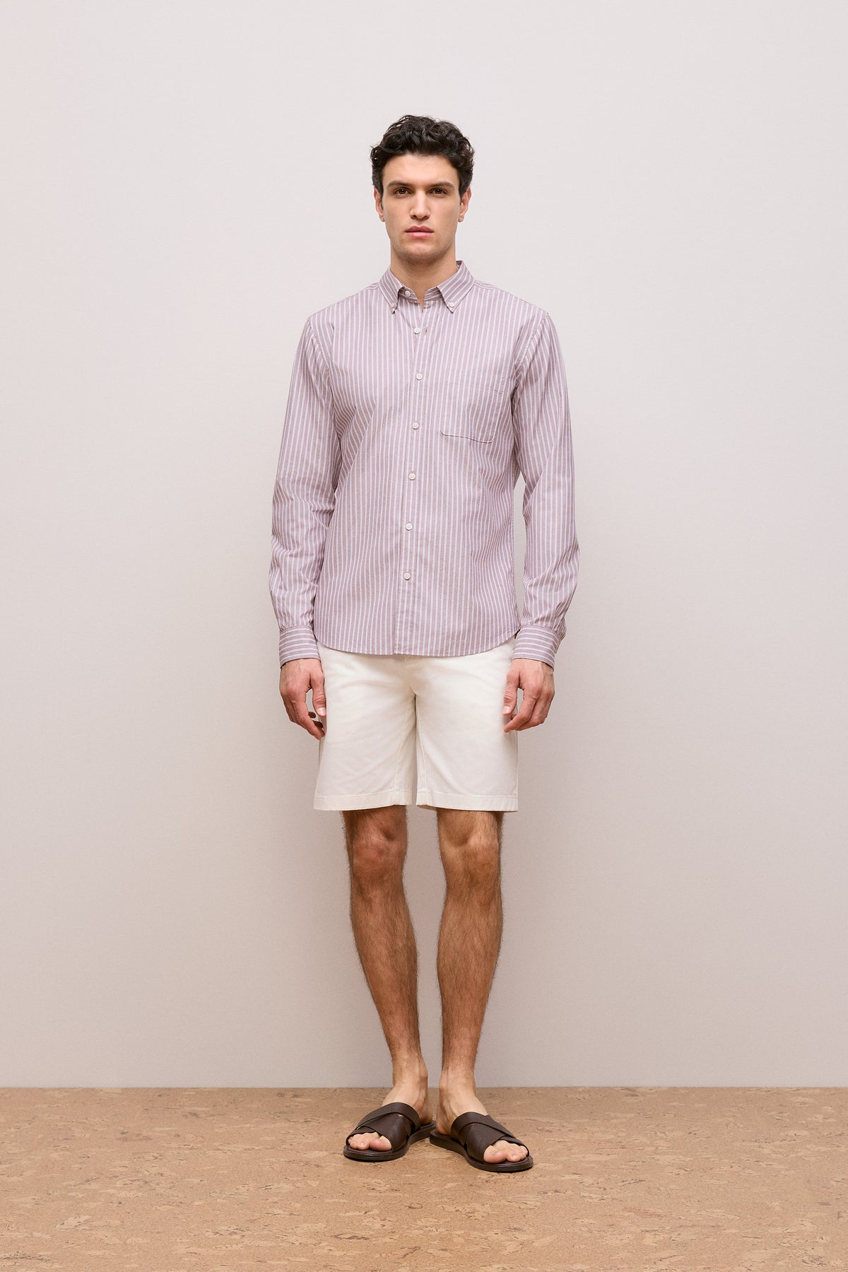 Regular Fit Poplin Stripe Long Sleeve Shirt