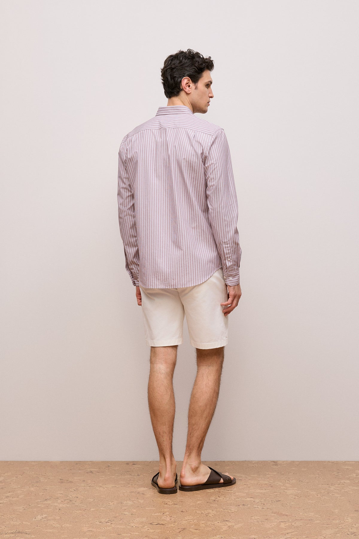 Regular Fit Poplin Stripe Long Sleeve Shirt
