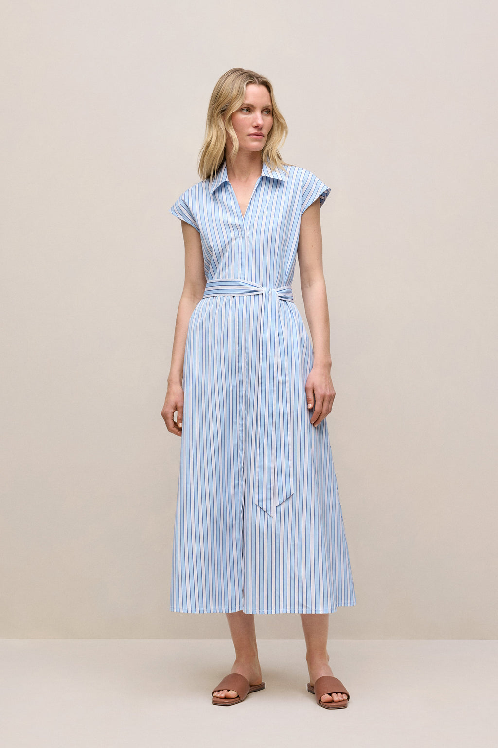 Sateen Regency Stripe Shirt Dress