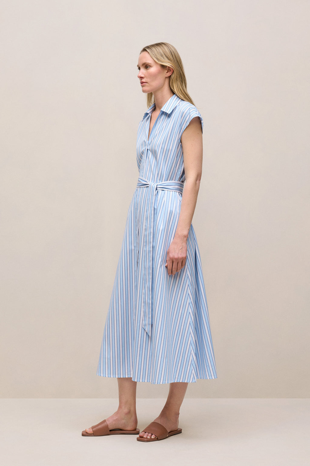 Sateen Regency Stripe Shirt Dress
