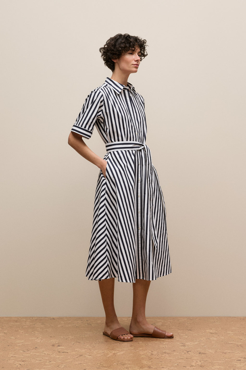Cotton Poplin Stripe Shirt Dress
