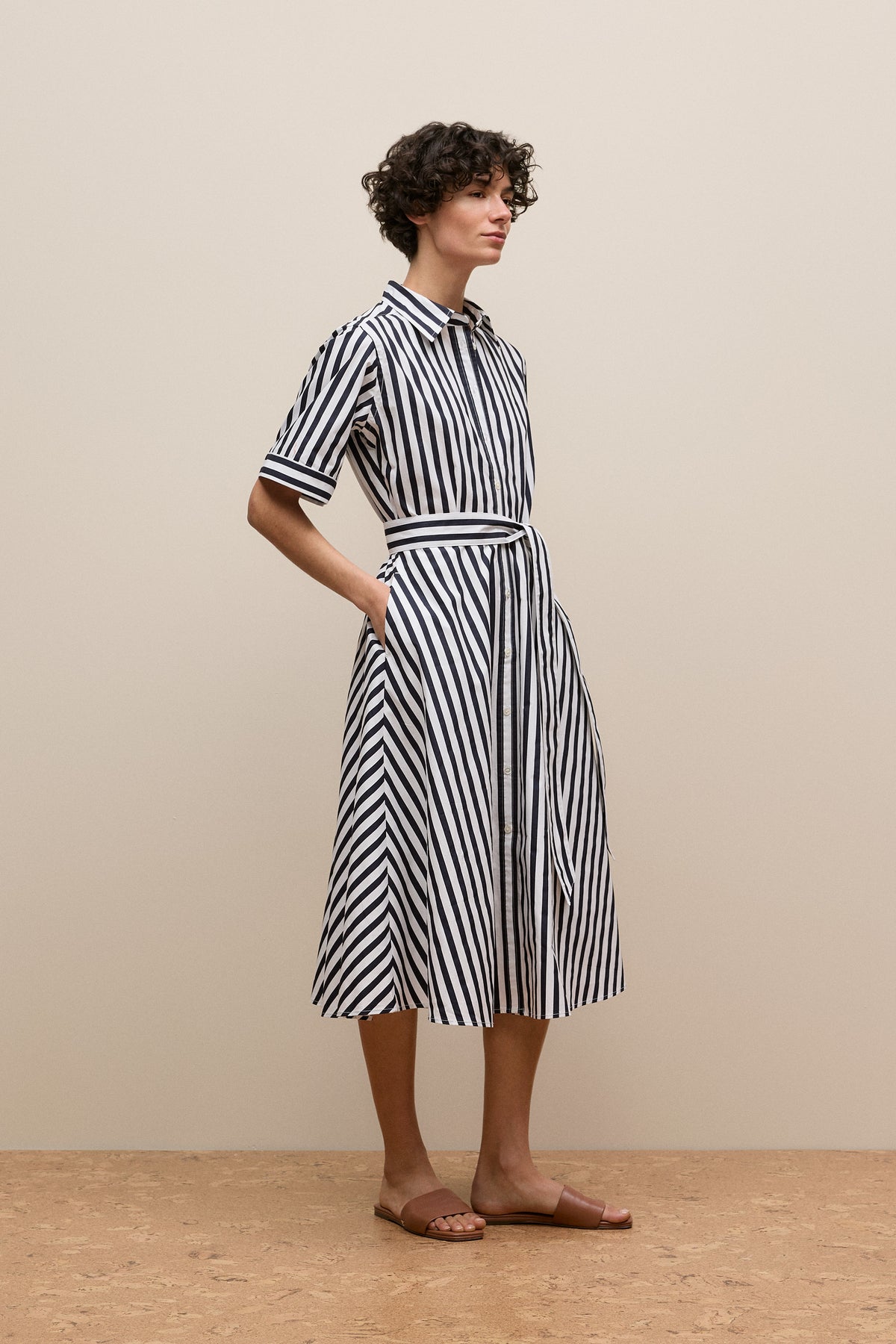 Cotton Poplin Stripe Shirt Dress