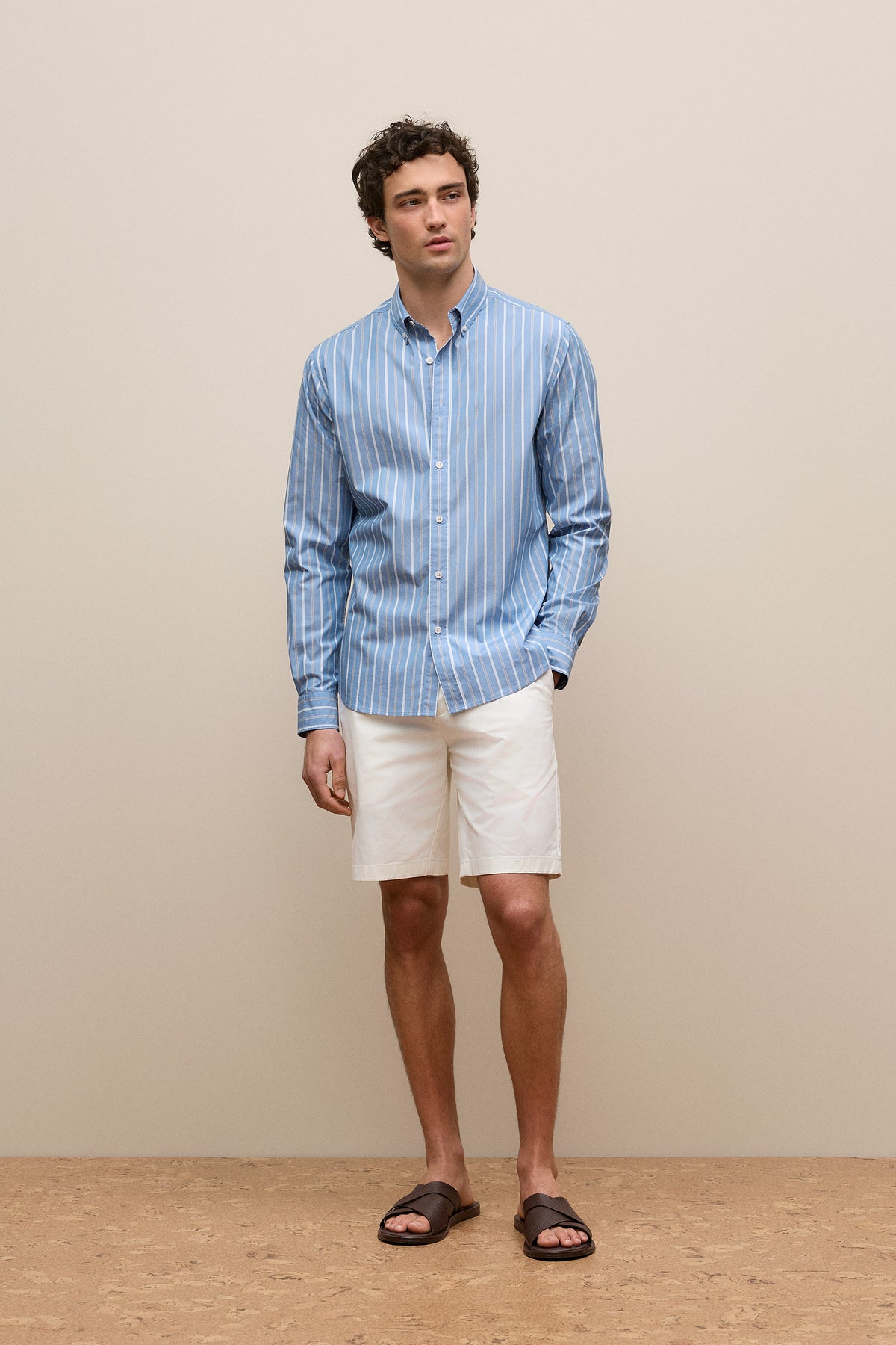 Regular Fit Poplin Stripe Long Sleeve Shirt