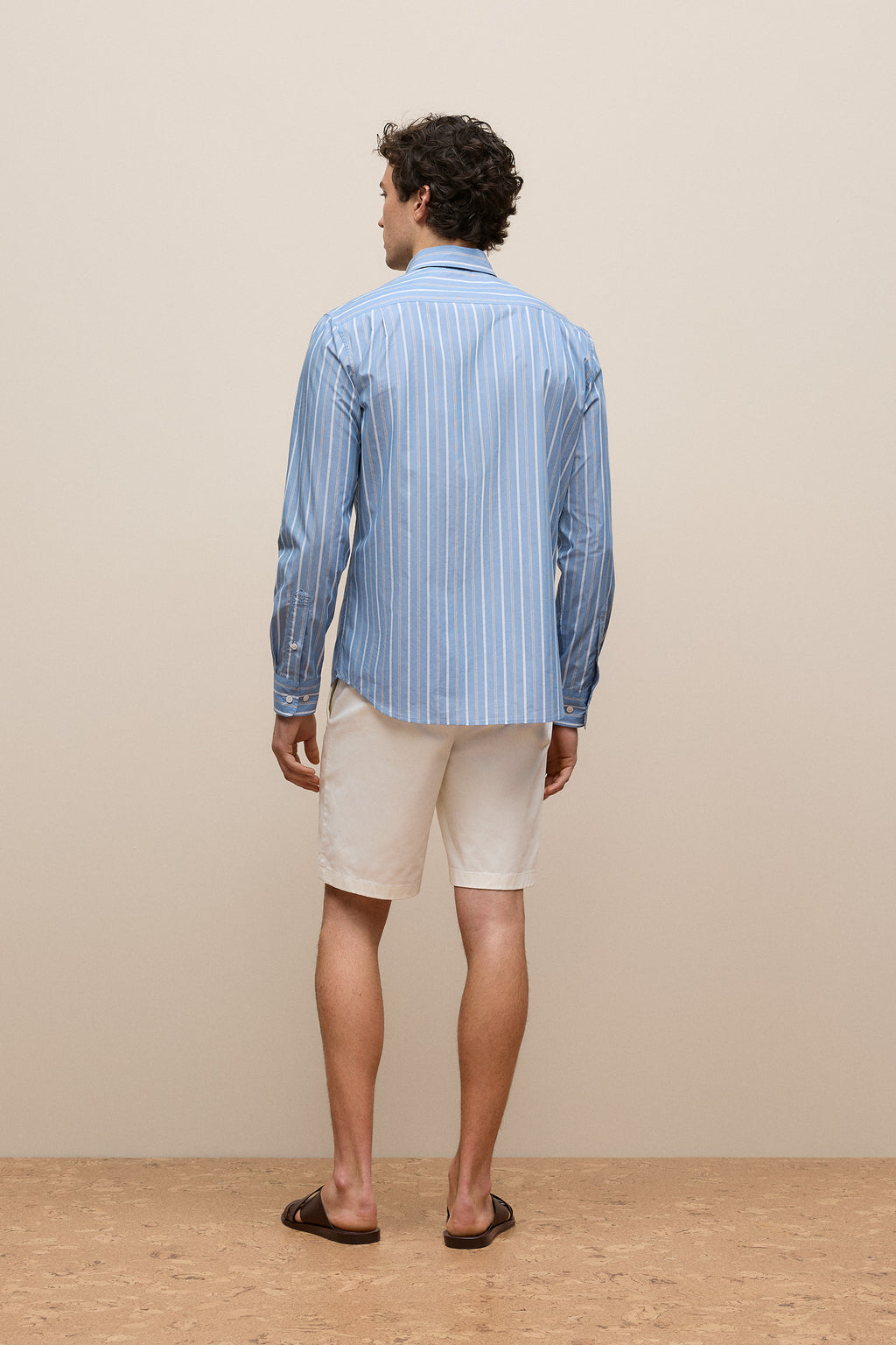 Regular Fit Poplin Stripe Long Sleeve Shirt