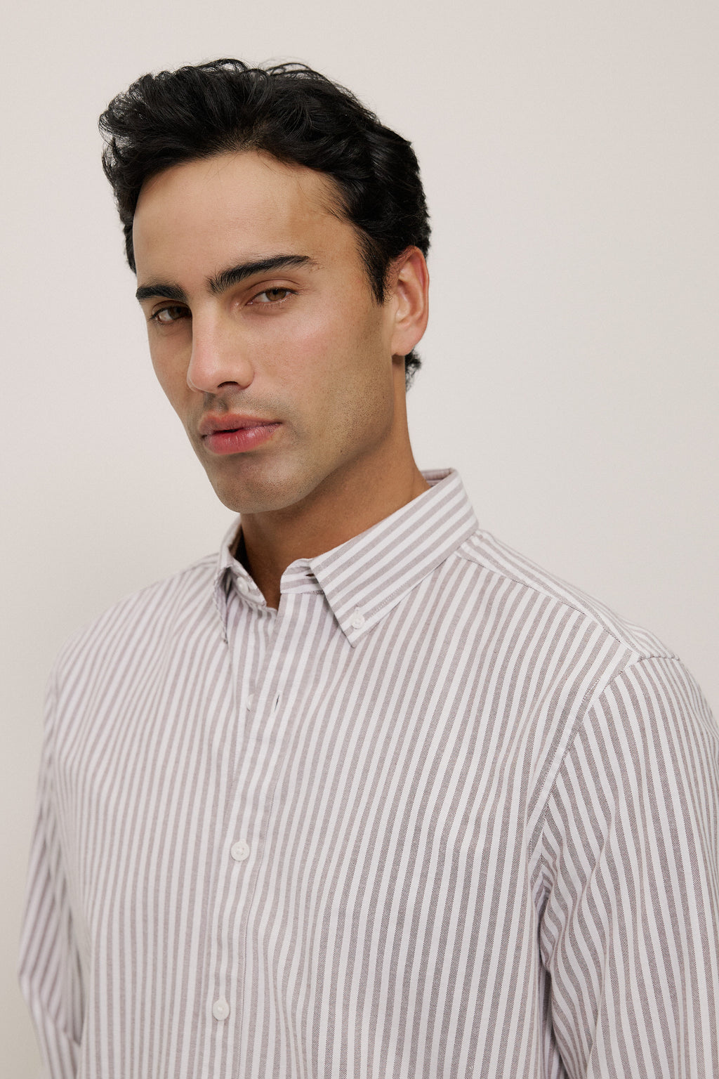Regular Fit Wide Stripe Oxford Shirt